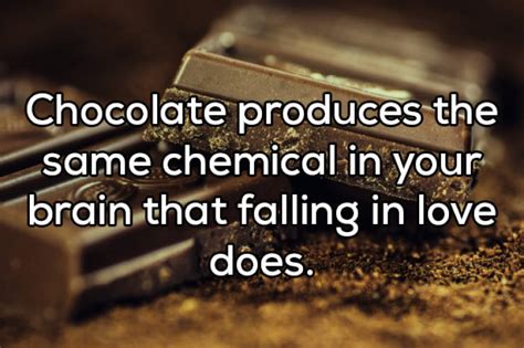 If Only You Knew These Facts Before… (22 pics) - Izismile.com