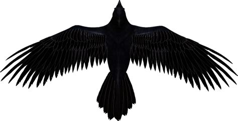 Raven *render* by darkstriiker on DeviantArt