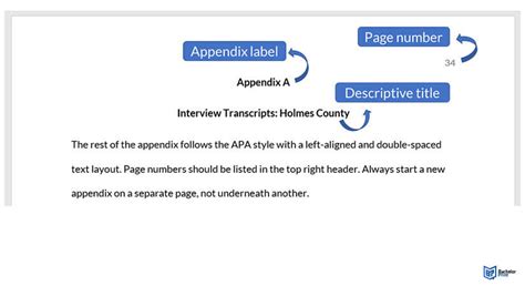 APA Appendix ~ Construction, Rules & Examples