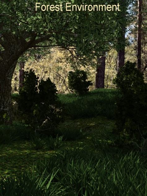 Forest Environment | 3d Models for Daz Studio and Poser