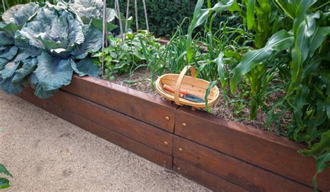 Top Tips on Gardening in Raised Beds - AGCO FarmLife