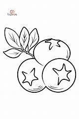 Blueberry Coloring Page Printable Sketch sketch template