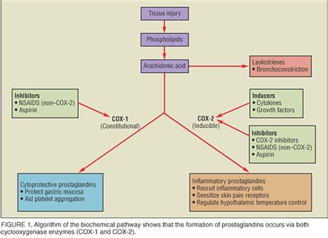 In addition to their effects on prostaglandins, NSAIDs exhibit other ...