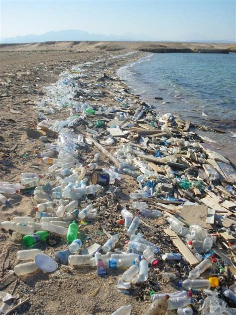 Earth Day 2018 - End Plastic Pollution!