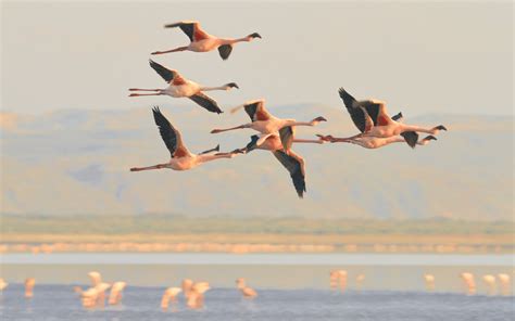 Journey to the mysterious Lake Natron | Evaneos