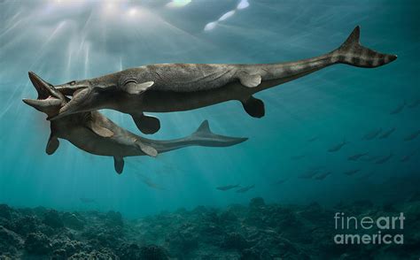 Mosasaurus Digital Art by Mohamad Haghani - Pixels