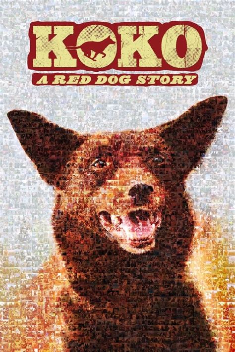 Koko: A Red Dog Story (2019) — The Movie Database (TMDB)