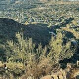 Sunrise Peak via Sunrise Trail - Arizona | AllTrails