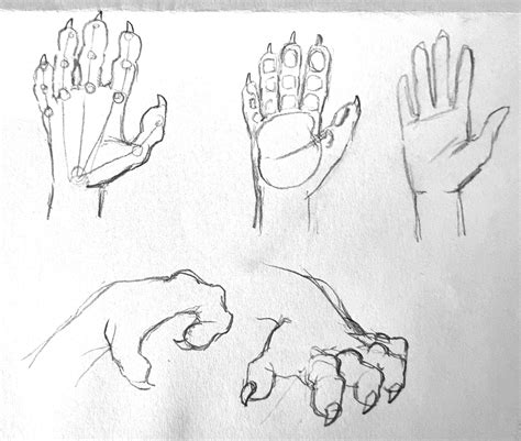 Drawing hand-like paws for a canine creature - Off-topic Chat - Blender ...