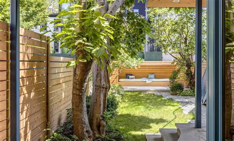 Privacy trees for small backyards – 8 tall varieties to try | Livingetc