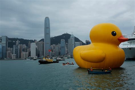 Giant Duck Deflates In Hong Kong - Business Insider