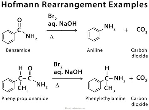 Hofmann Rearrangement: Example, Mechanism, and Application