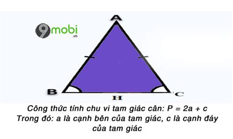 Cách tính chu vi tam giác đều, cân, vuông, có ví dụ minh họa