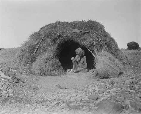 Hut Eastern Arrernte Basedow | Aboriginal history, Aboriginal, Aboriginal culture