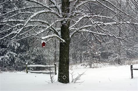 Michigan Winter Wonderland 1 by bls35mm on DeviantArt