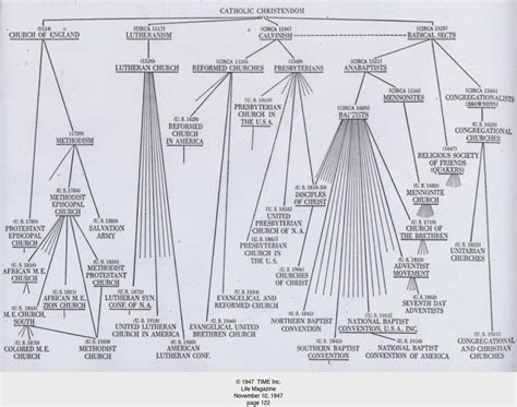 God's Gardener: Protestant divisions of the Catholic Church