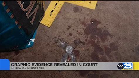 Graphic evidence revealed in court at Murdaugh trial - ABC Columbia