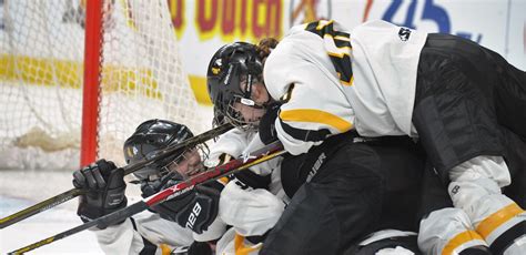 Girls hockey: Cardinals lament their effort after Warroad runs away in semifinals - Alexandria ...