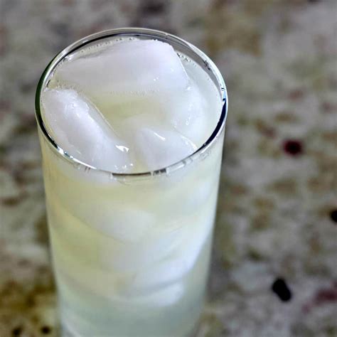 Classic Gin Fizz Recipe and Variations | Homemade Food Junkie