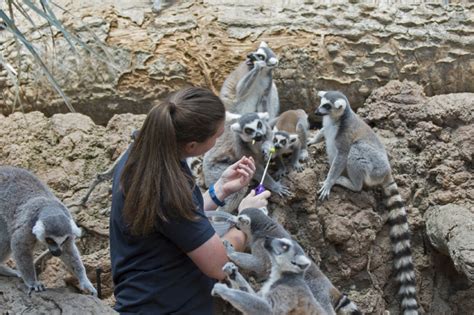 5 Things You Only Know if You're a Zoo Keeper - Bronx Zoo