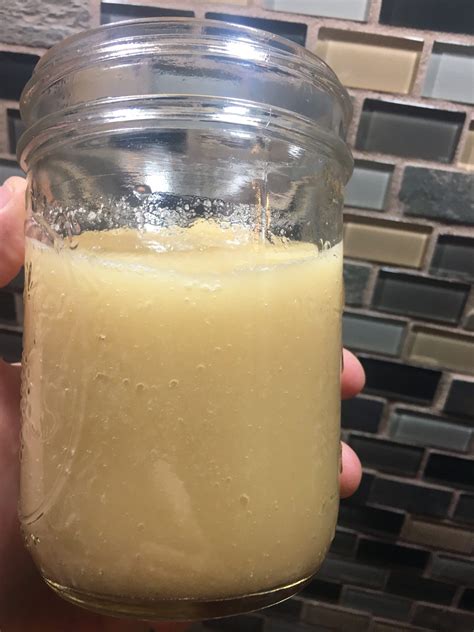 Wild Harvested Jamaican Sea Moss Gel (12 oz jar) - Empress Roots