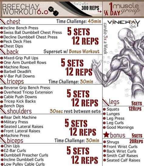 Download Full-Body Workout Routine Bulk Up PNG - what exercise is a ...