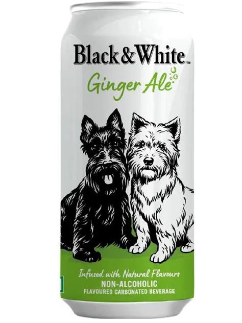 Can Dogs Drink Ginger Ale