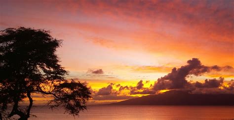 Sunset in Napili on Maui, Hawaii. : r/pics