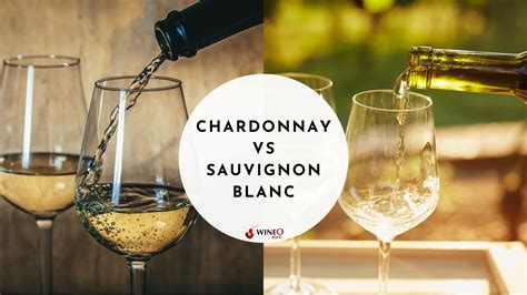 Chardonnay vs Sauvignon Blanc: Which Wine is Right for You?