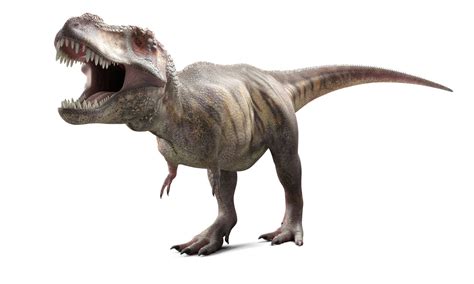 The Top 10 Famous Dinosaurs That Roamed the Earth