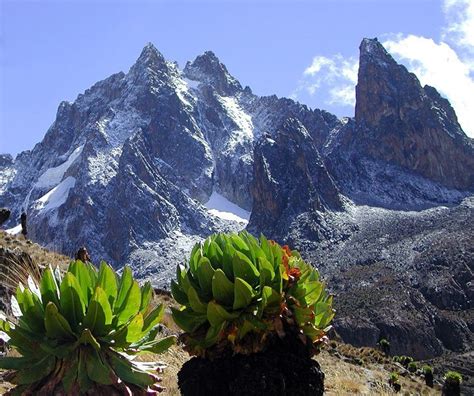 Mount Kenya Multi-Day Trek - 7 Days | kimkim