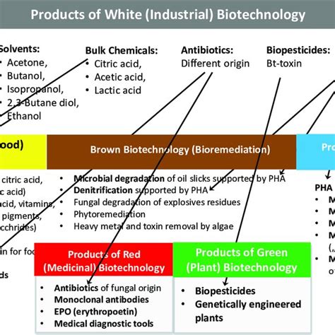 Examples of products of "White/Industrial Biotechnology", and its... | Download Scientific Diagram