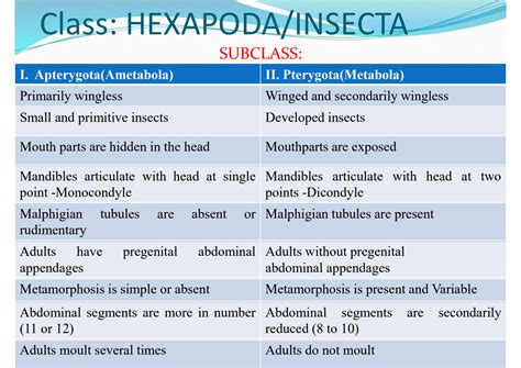 SOLUTION: Classification of insects - Studypool