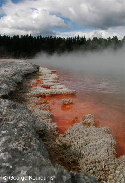 Rotorua Hydrothermal Area - New Zealand