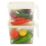Buy Floraware Airtight Kitchen Fridge Organizer/Storage Box With Lid & Handle - Durable Online ...