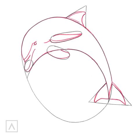 Realistic Dolphin Drawing Step By Step - Ajor Png