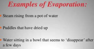 What are some Examples of Evaporation in Everyday Life?-PhysicsAbout