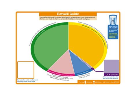 Blank Colour Eatwell Guide | Teaching Resources