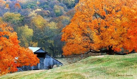 tennessee fall colors | Tennessee Colors | Rural scenes | Pinterest