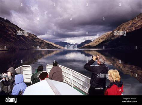 Loch shiel wildlife hi-res stock photography and images - Alamy