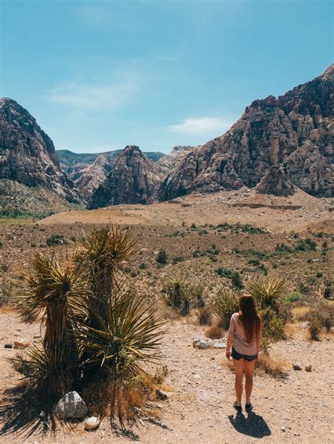 Red Rock Canyon Scenic Drive: A Day Trip from Las Vegas - Compasses ...