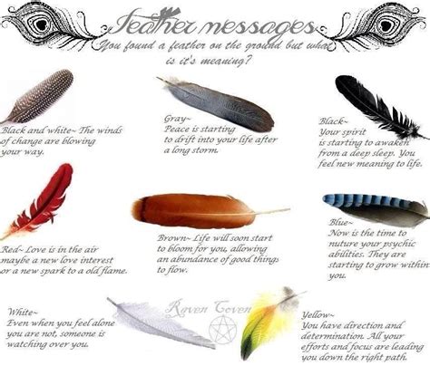 Pin by Caelyn Dallman on Something Wiccan | Feather meaning, Feather ...