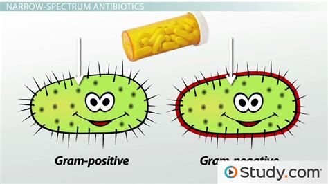 Antibiotics and Their Types, Uses and Side Effects