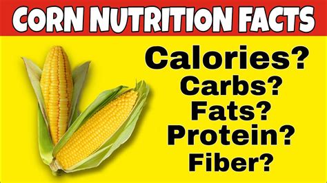 Nutrition facts of Corn|Health benefits of Corn|how many calories,carbs ...