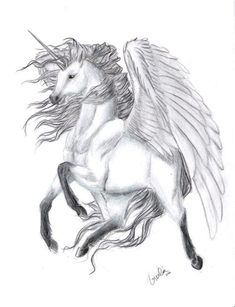 a pencil drawing of a unicorn with wings