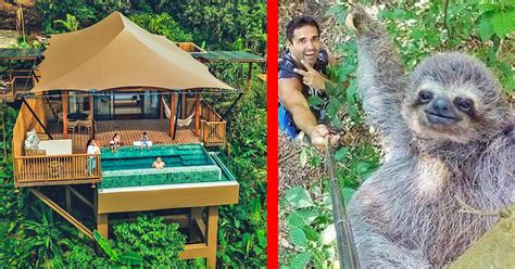 There's a Luxury Costa Rican Resort That Lets You Stay In The Rainforest and Hang Out With Sloths