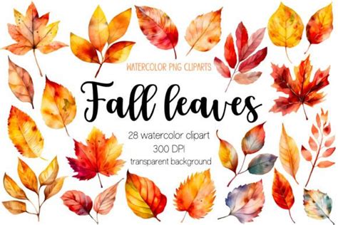 Watercolor Fall Leaves Clipart Bundle Graphic by DreanArtDesign · Creative Fabrica