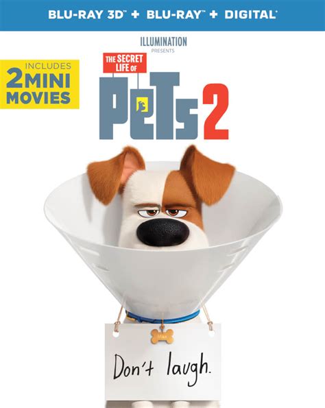 The Secret Life of Pets 2 - 3D (Includes 2D Blu-Ray) Blu-ray | Zavvi