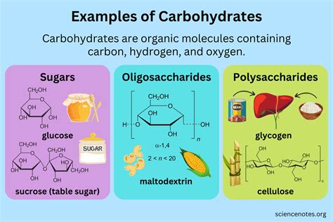 Examples of Carbohydrates