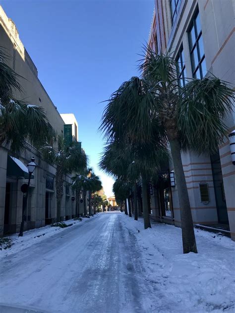 Snow in Charleston, SC | Snow, Outdoor, Charleston